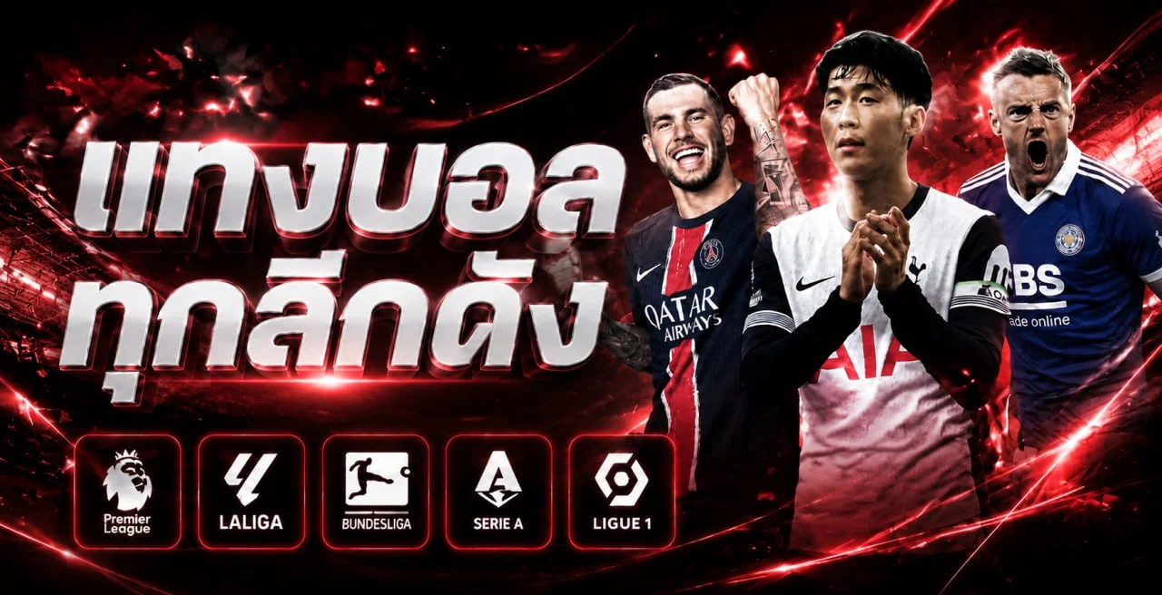 Domino456 คาสิโนออนไลน์ครบวงจร สล็อต แทงบอล ฝากถอนออโต้